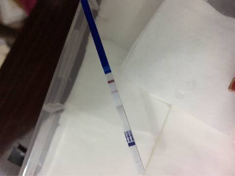 journal_insert_pic_659131199