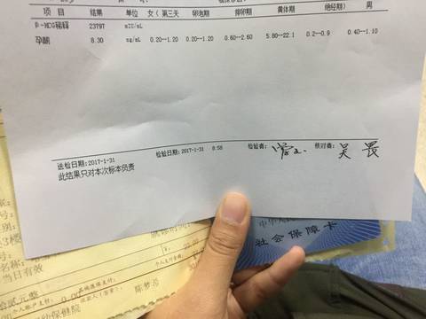 journal_insert_pic_660403233
