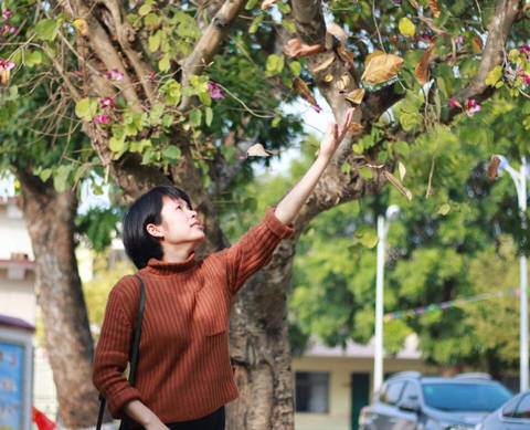 journal_insert_pic_660715153