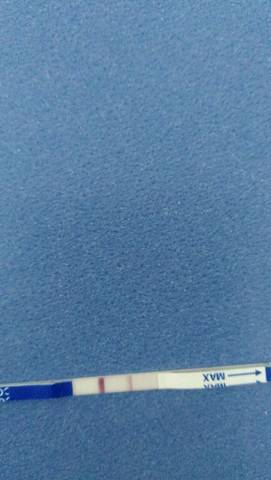 journal_insert_pic_662786588