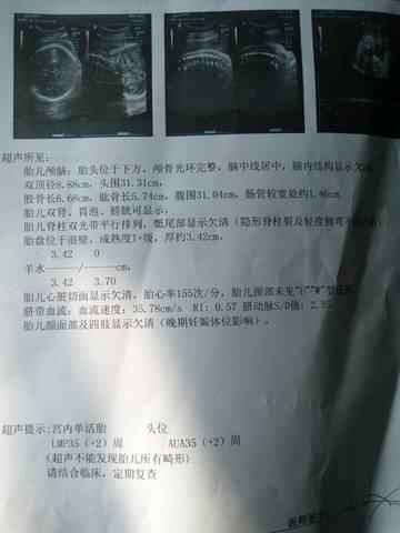 journal_insert_pic_662566251