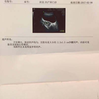 journal_insert_pic_664404185