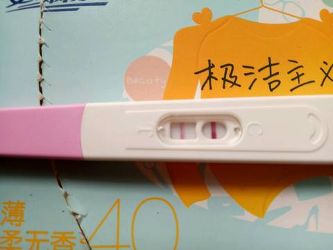 journal_insert_pic_665329691