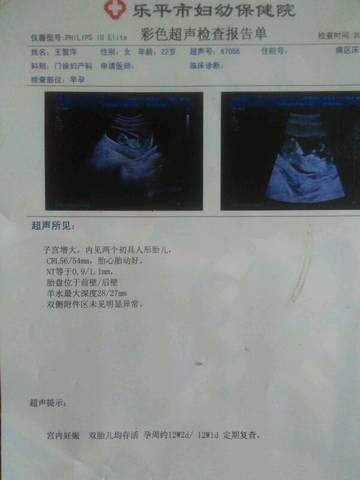 journal_insert_pic_665334586