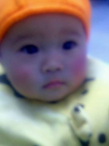 journal_insert_pic_666411016