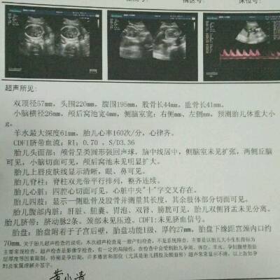 journal_insert_pic_666120090