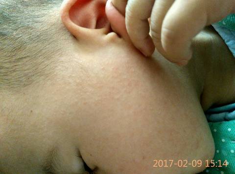 journal_insert_pic_667031789