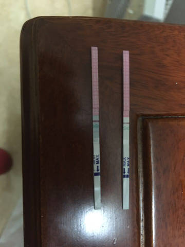journal_insert_pic_667069670