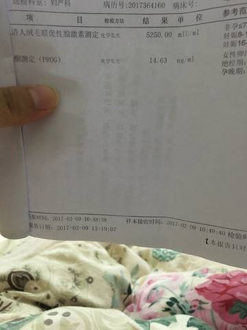journal_insert_pic_667703688