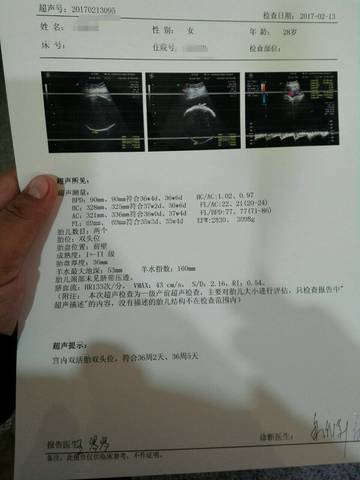 journal_insert_pic_670038115