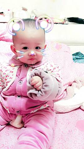 journal_insert_pic_670690865