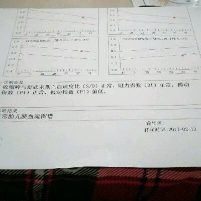 journal_insert_pic_670545388