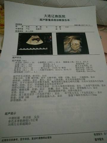 journal_insert_pic_671346920