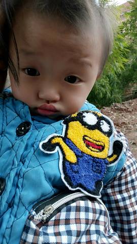journal_insert_pic_672183573