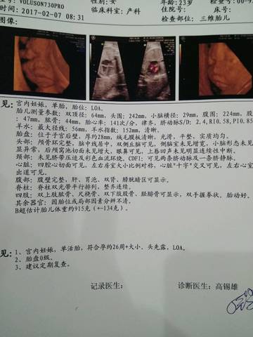 journal_insert_pic_672774881