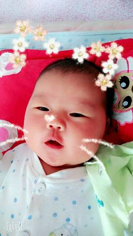 journal_insert_pic_672751568