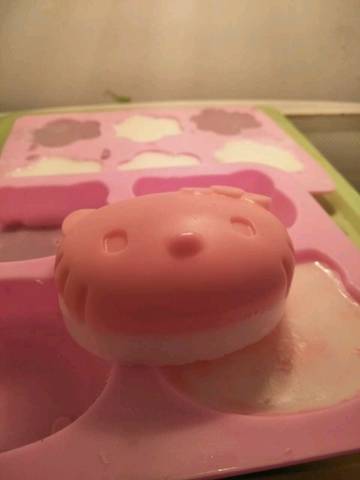 journal_insert_pic_673585931