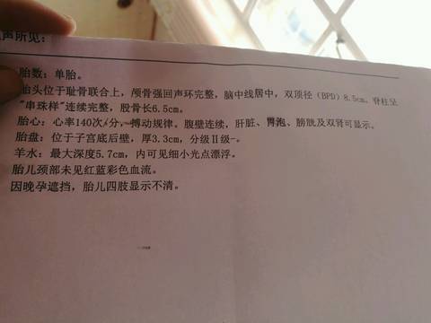 journal_insert_pic_673512271