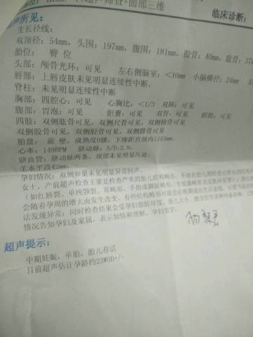journal_insert_pic_674296260