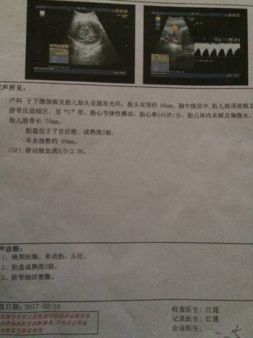 journal_insert_pic_674450095