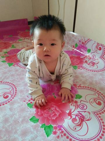 journal_insert_pic_674402167