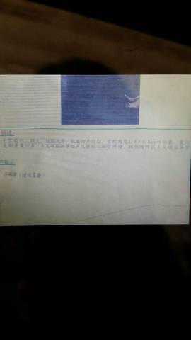 journal_insert_pic_674363979