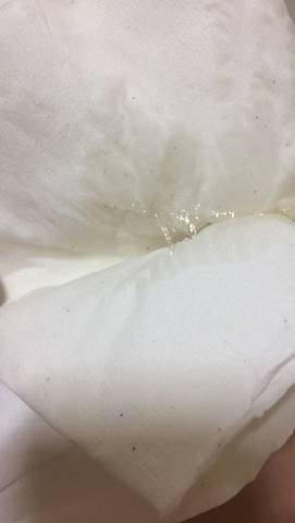journal_insert_pic_674663210