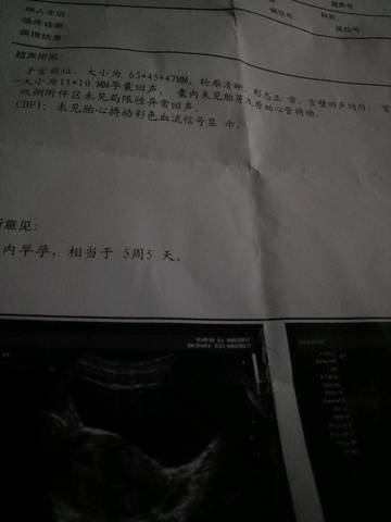 journal_insert_pic_675280993