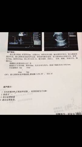 journal_insert_pic_675528220