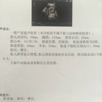 journal_insert_pic_676840948