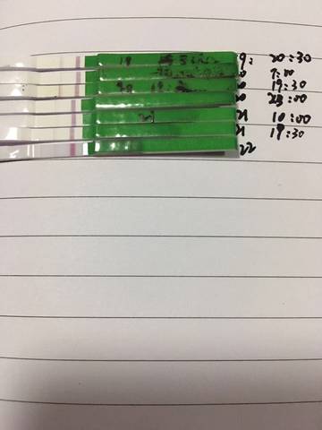 journal_insert_pic_677950035