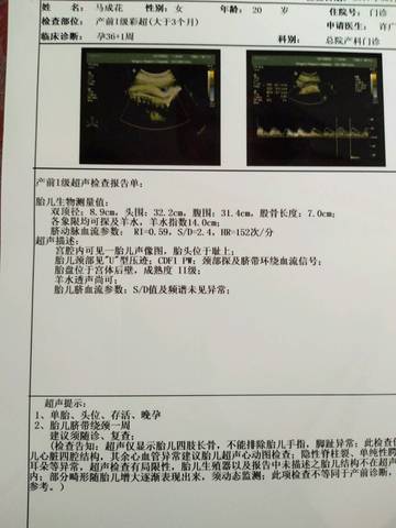 journal_insert_pic_677771151