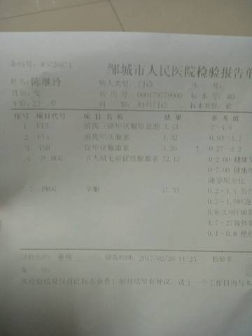 journal_insert_pic_679505750