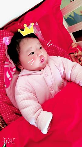 journal_insert_pic_679609189