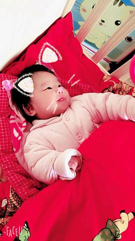journal_insert_pic_679609303