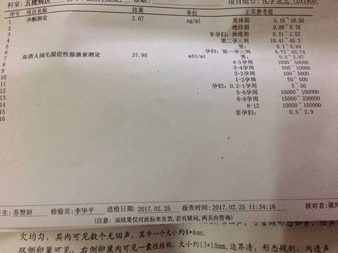 journal_insert_pic_680481931