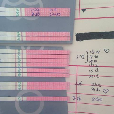 journal_insert_pic_680833859