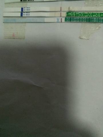 journal_insert_pic_681084452