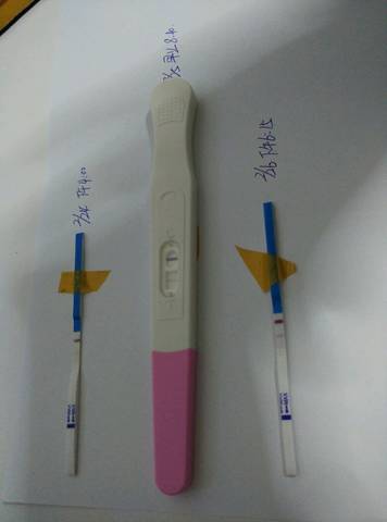 journal_insert_pic_681042933