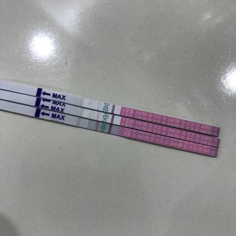 journal_insert_pic_682083449