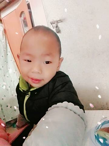 journal_insert_pic_682061072