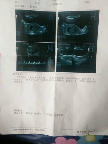 journal_insert_pic_682663033