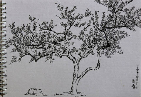 桃花树手绘铅笔画图片