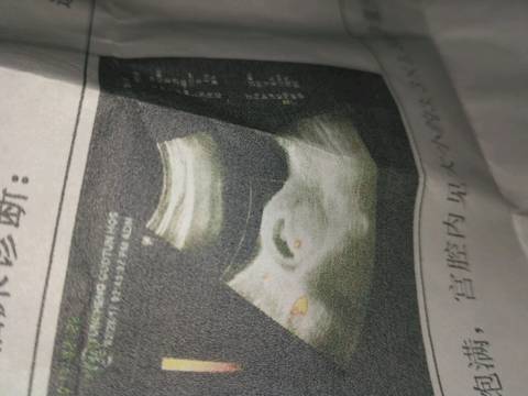 journal_insert_pic_684372403