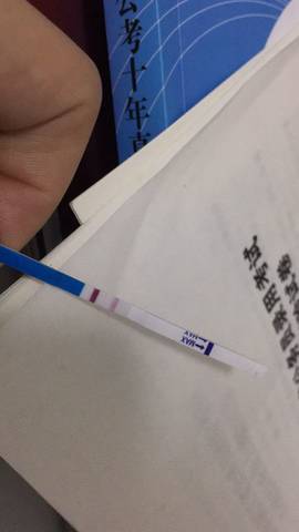 journal_insert_pic_684460954