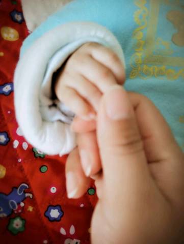 journal_insert_pic_685035874