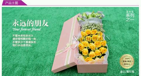journal_insert_pic_685288875