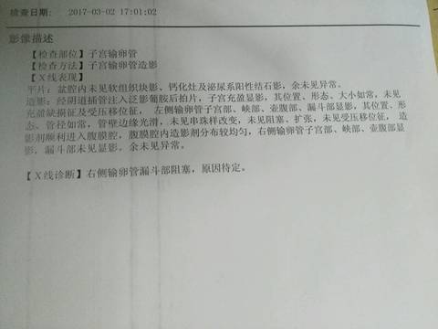 journal_insert_pic_685856871