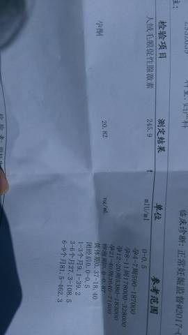 journal_insert_pic_687484461