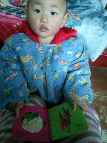 journal_insert_pic_687032221